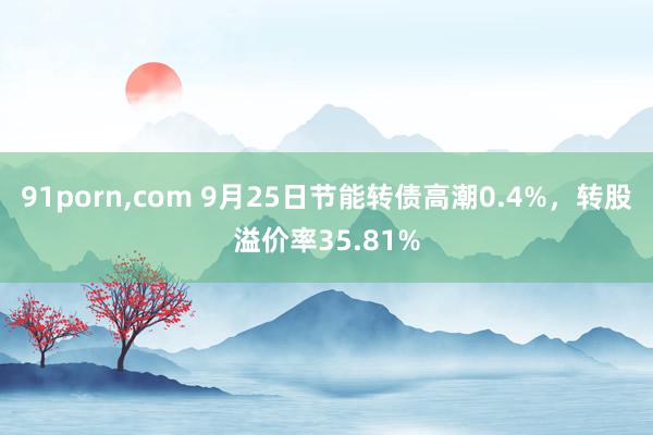 91porn,com 9月25日节能转债高潮0.4%,转股溢价率35.81%