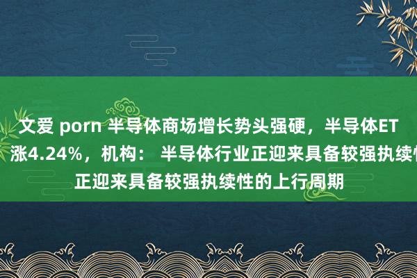 文爱 porn 半导体商场增长势头强硬，半导体ETF（512480）涨4.24%，机构： 半导体行业正迎来具备较强执续性的上行周期