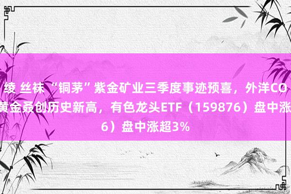 绫 丝袜 “铜茅”紫金矿业三季度事迹预喜,外洋COMEX黄金叒创历史新高,有色龙头ETF(159876)盘中涨超3%