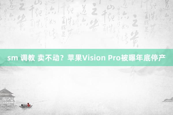 sm 调教 卖不动?苹果Vision Pro被曝年底停产
