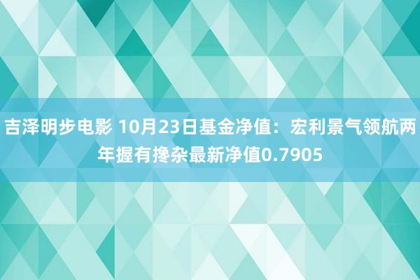 吉泽明步电影 10月23日基金净值:宏利景气领航两年握有搀杂最新净值0.7905