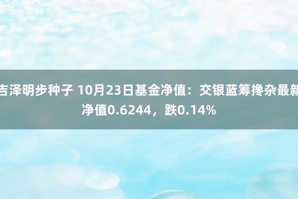 吉泽明步种子 10月23日基金净值：交银蓝筹搀杂最新净值0.6244，跌0.14%