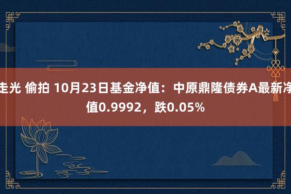 走光 偷拍 10月23日基金净值:中原鼎隆债券A最新净值0.9992,跌0.05%