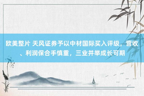 欧美整片 天风证券予以中材国际买入评级,营收、利润保合手慎重,三业并举成长可期