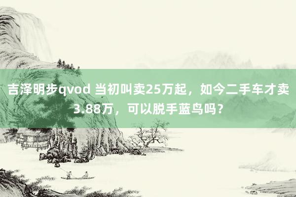 吉泽明步qvod 当初叫卖25万起,如今二手车才卖3.88万,可以脱手蓝鸟吗?
