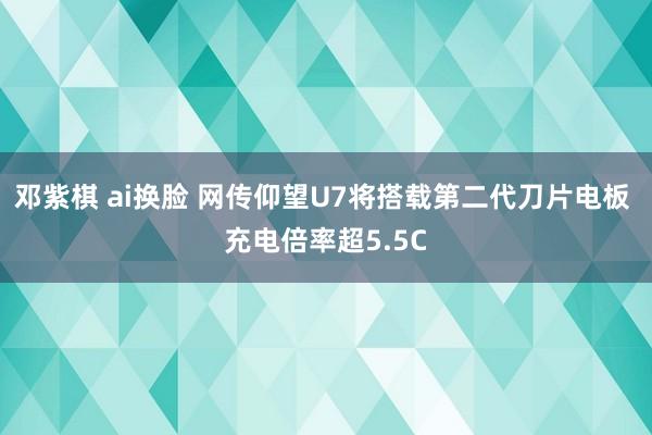 邓紫棋 ai换脸 网传仰望U7将搭载第二代刀片电板 充电倍率超5.5C