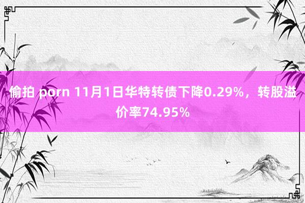 偷拍 porn 11月1日华特转债下降0.29%,转股溢价率74.95%