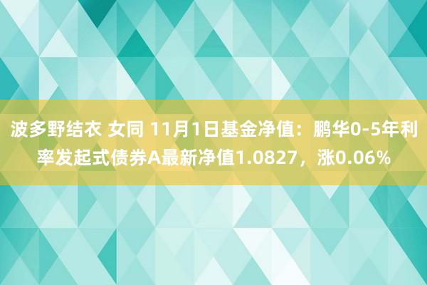 波多野结衣 女同 11月1日基金净值:鹏华0-5年利率发起式债券A最新净值1.0827,涨0.06%