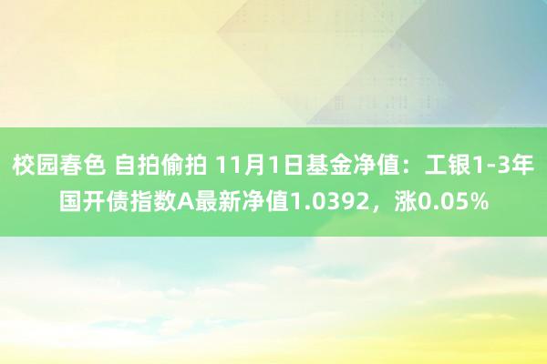 校园春色 自拍偷拍 11月1日基金净值:工银1-3年国开债指数A最新净值1.0392,涨0.05%