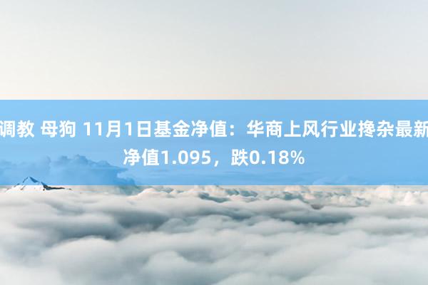 调教 母狗 11月1日基金净值:华商上风行业搀杂最新净值1.095,跌0.18%