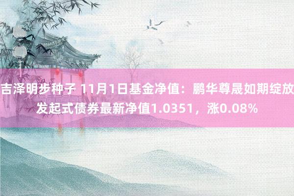 吉泽明步种子 11月1日基金净值:鹏华尊晟如期绽放发起式债券最新净值1.0351,涨0.08%