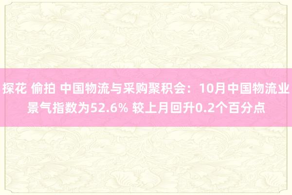 探花 偷拍 中国物流与采购聚积会:10月中国物流业景气指数为52.6% 较上月回升0.2个百分点