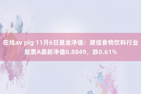 在线av pig 11月6日基金净值:建信食物饮料行业股票A最新净值0.8849,跌0.61%