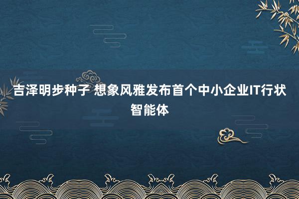 吉泽明步种子 想象风雅发布首个中小企业IT行状智能体