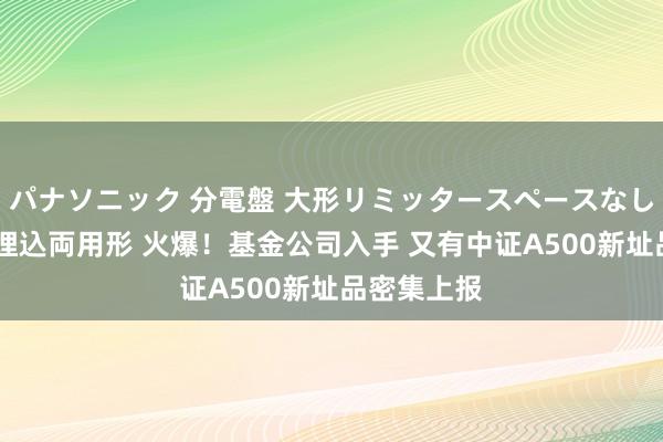 パナソニック 分電盤 大形リミッタースペースなし 露出・半埋込両用形 火爆!基金公司入手 又有中证A500新址品密集上报
