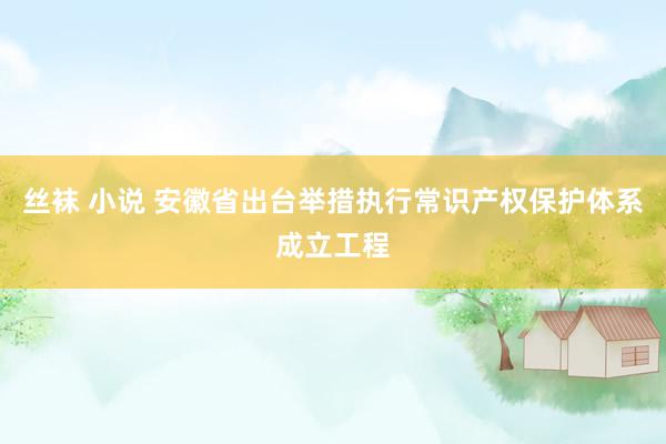 丝袜 小说 安徽省出台举措执行常识产权保护体系成立工程
