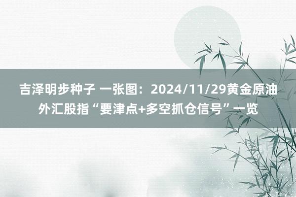 吉泽明步种子 一张图:2024/11/29黄金原油外汇股指“要津点+多空抓仓信号”一览
