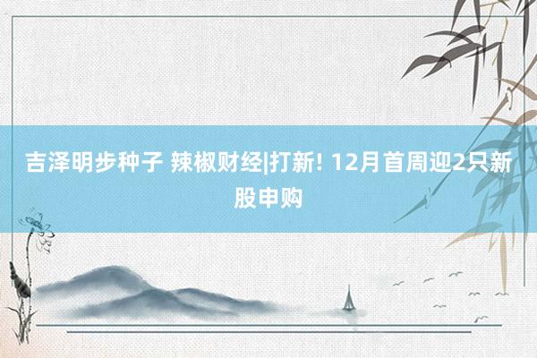 吉泽明步种子 辣椒财经|打新! 12月首周迎2只新股申购