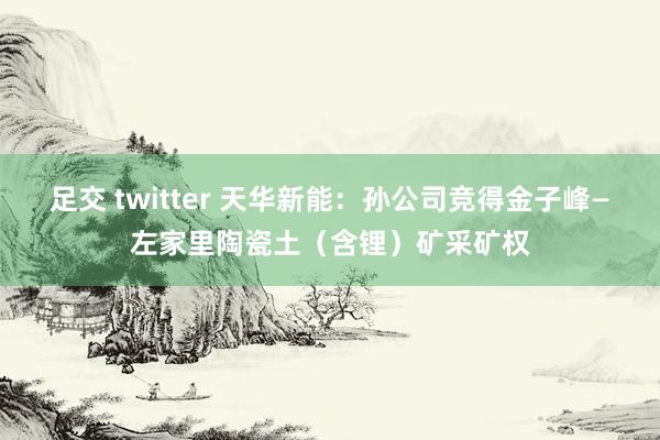 足交 twitter 天华新能:孙公司竞得金子峰—左家里陶瓷土(含锂)矿采矿权