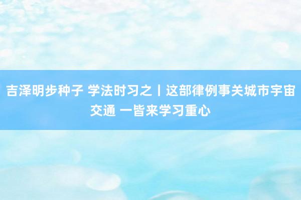 吉泽明步种子 学法时习之丨这部律例事关城市宇宙交通 一皆来学习重心