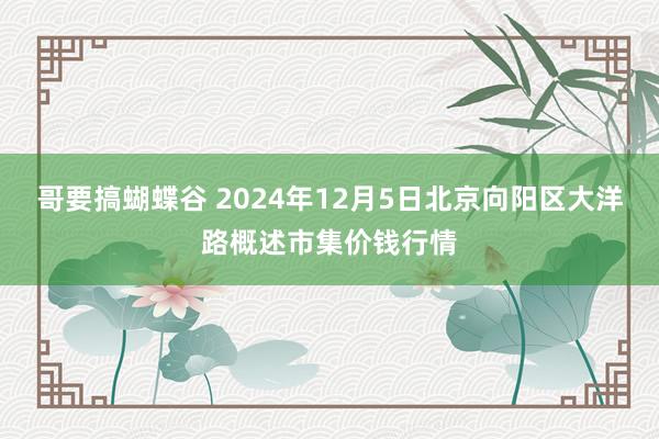 哥要搞蝴蝶谷 2024年12月5日北京向阳区大洋路概述市集价钱行情