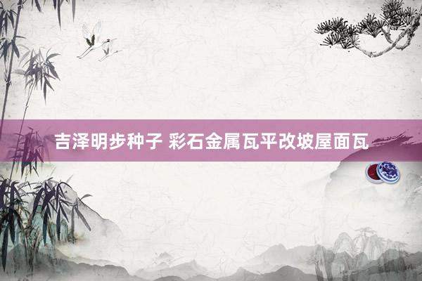 吉泽明步种子 彩石金属瓦平改坡屋面瓦