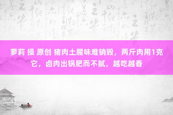 萝莉 操 原创 猪肉土腥味难销毁,两斤肉用1克它,卤肉出锅肥而不腻,越吃越香