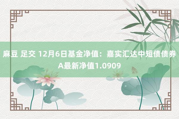 麻豆 足交 12月6日基金净值:嘉实汇达中短债债券A最新净值1.0909