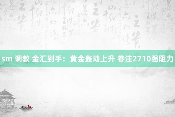 sm 调教 金汇到手:黄金轰动上升 眷注2710强阻力