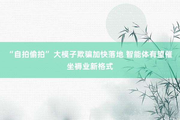 “自拍偷拍” 大模子欺骗加快落地 智能体有望催坐褥业新格式