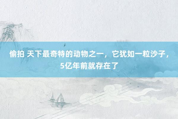 偷拍 天下最奇特的动物之一,它犹如一粒沙子,5亿年前就存在了