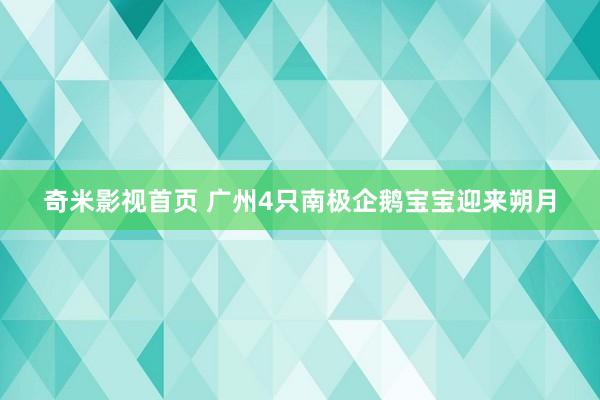 奇米影视首页 广州4只南极企鹅宝宝迎来朔月