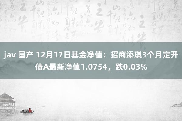 jav 国产 12月17日基金净值:招商添琪3个月定开债A最新净值1.0754,跌0.03%