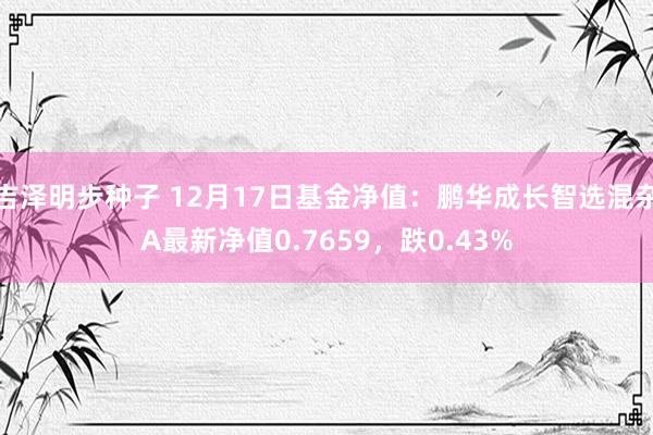 吉泽明步种子 12月17日基金净值:鹏华成长智选混杂A最新净值0.7659,跌0.43%