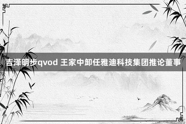吉泽明步qvod 王家中卸任雅迪科技集团推论董事