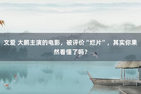 文爱 大鹏主演的电影,被评价“烂片”,其实你果然看懂了吗?
