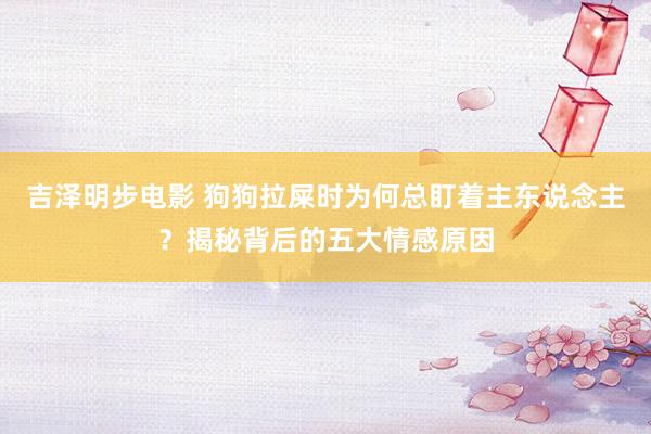 吉泽明步电影 狗狗拉屎时为何总盯着主东说念主?揭秘背后的五大情感原因