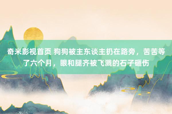 奇米影视首页 狗狗被主东谈主扔在路旁,苦苦等了六个月,眼和腿齐被飞溅的石子砸伤