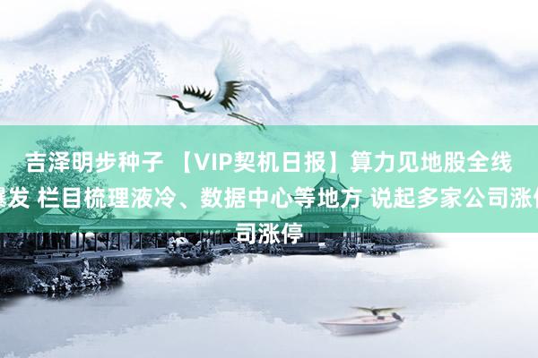 吉泽明步种子 【VIP契机日报】算力见地股全线爆发 栏目梳理液冷、数据中心等地方 说起多家公司涨停