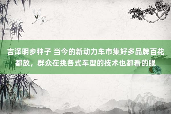 吉泽明步种子 当今的新动力车市集好多品牌百花都放,群众在挑各式车型的技术也都看的眼