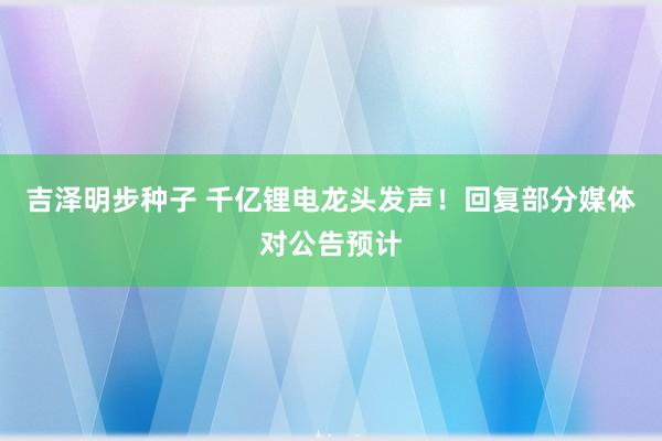 吉泽明步种子 千亿锂电龙头发声!回复部分媒体对公告预计