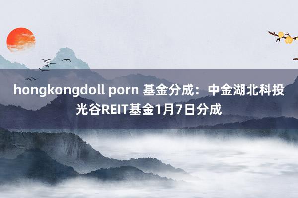 hongkongdoll porn 基金分成:中金湖北科投光谷REIT基金1月7日分成
