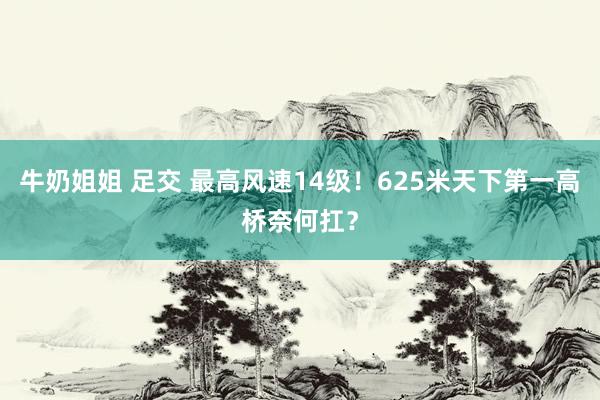 牛奶姐姐 足交 最高风速14级!625米天下第一高桥奈何扛?