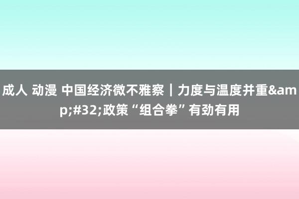 成人 动漫 中国经济微不雅察|力度与温度并重 政策“组合拳”有劲有用