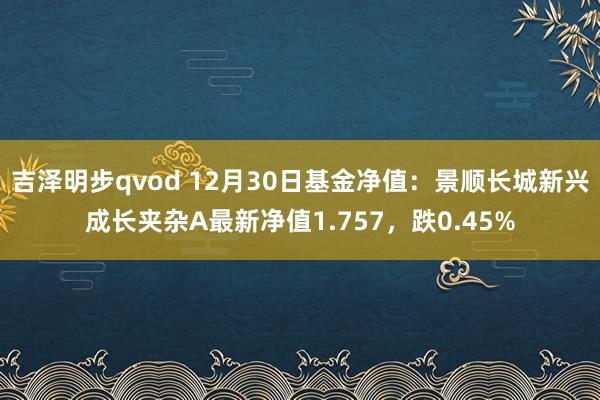 吉泽明步qvod 12月30日基金净值:景顺长城新兴成长夹杂A最新净值1.757,跌0.45%