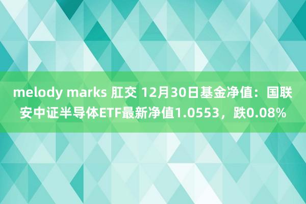 melody marks 肛交 12月30日基金净值:国联安中证半导体ETF最新净值1.0553,跌0.08%