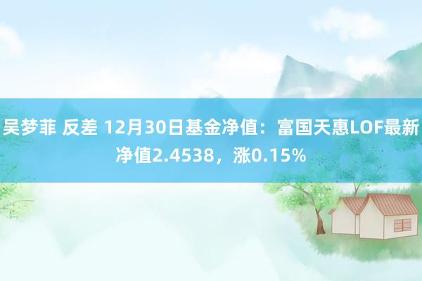 吴梦菲 反差 12月30日基金净值:富国天惠LOF最新净值2.4538,涨0.15%