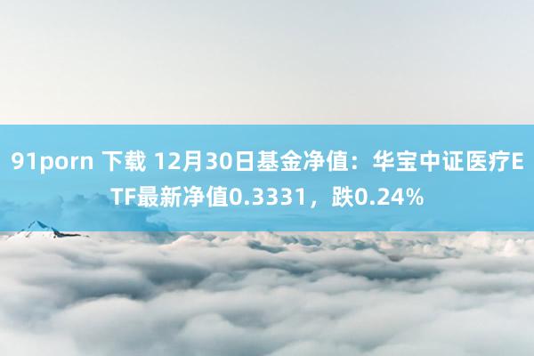 91porn 下载 12月30日基金净值:华宝中证医疗ETF最新净值0.3331,跌0.24%