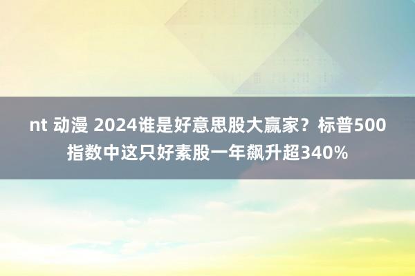nt 动漫 2024谁是好意思股大赢家?标普500指数中这只好素股一年飙升超340%