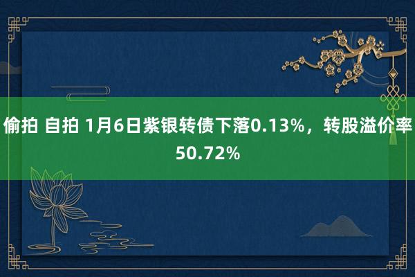 偷拍 自拍 1月6日紫银转债下落0.13%,转股溢价率50.72%